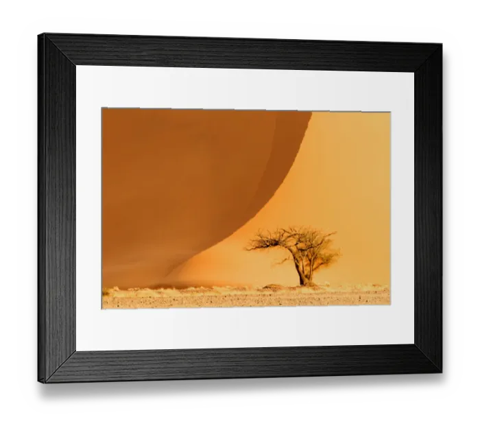 Framed Print : Africa, Namibia, Namib Desert, Namib-Naukluft National Park, Sossusvlei. A dead camel thorn tree Framed Print : Africa, Namibia, Namib Desert, Namib-Naukluft National Park, Sossusvlei. A dead camel thorn tree