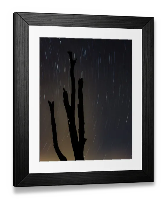 Framed Print : Perseus constellation meteor showing, Florida, USA Framed Print : Perseus constellation meteor showing, Florida, USA