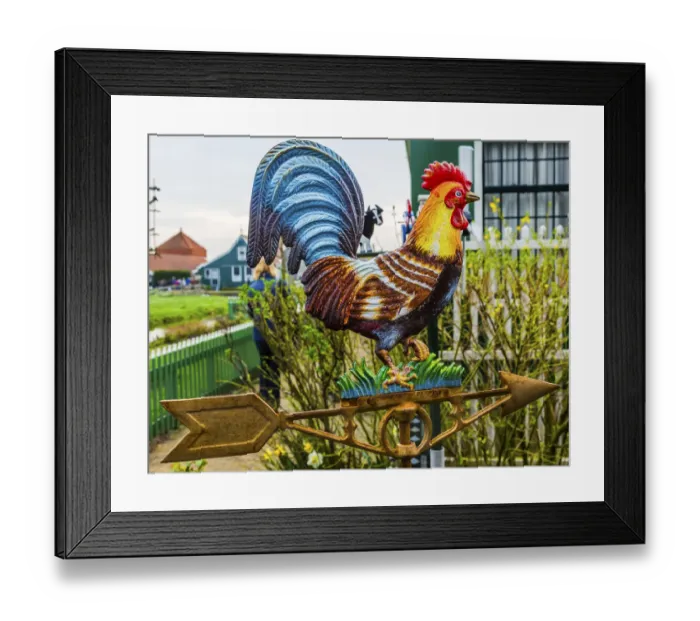 Framed Print : Brass Rooster Windvane Zaanse Schans Old Windmill Village Countryside Holland Netherlands Framed Print : Brass Rooster Windvane Zaanse Schans Old Windmill Village Countryside Holland Netherlands