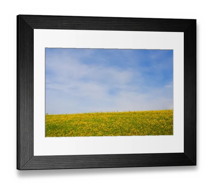 Framed Print : Meskel field in Simien Mountain, Ethiopia