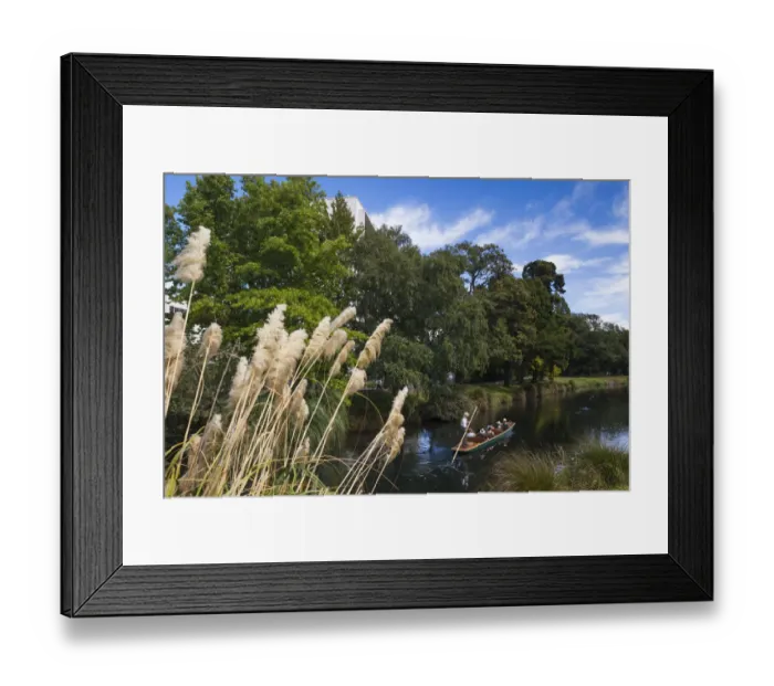 Framed Print : New Zealand, South Island, Christchurch, punting on the Avon River