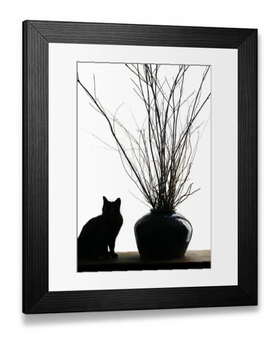 Framed Print : Silhouetted image of a cat by a flower pot, Los Angeles, Califonia, USA. (PR) Framed Print : Silhouetted image of a cat by a flower pot, Los Angeles, Califonia, USA. (PR)