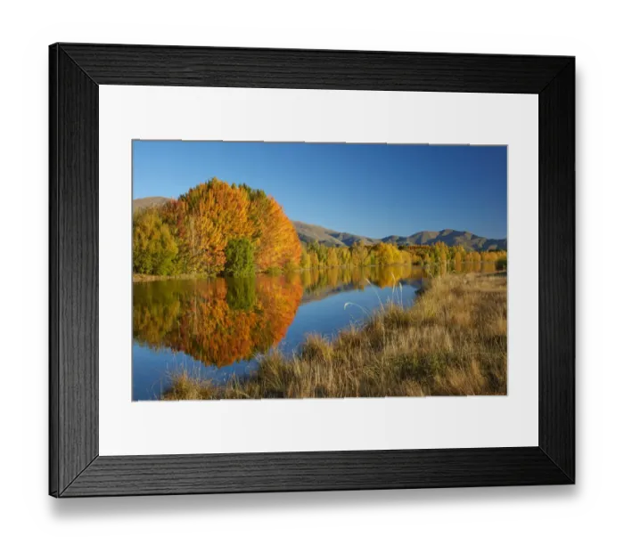 Framed Print : Autumn reflections in Kellands Pond, near Twizel, Mackenzie District, South Canterbury Framed Print : Autumn reflections in Kellands Pond, near Twizel, Mackenzie District, South Canterbury
