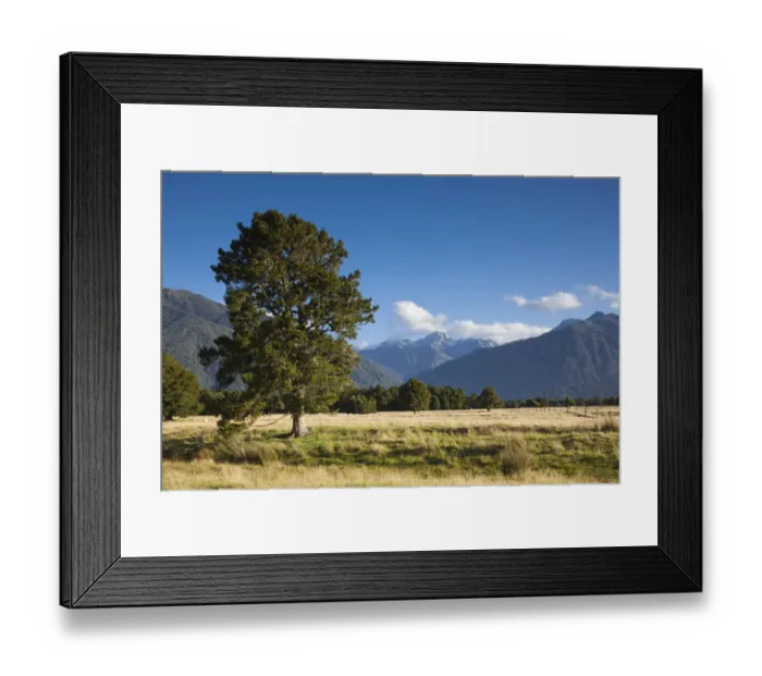 Framed Print : New Zealand, South Island, West Coast, Fox Glacier Village, view of Mt. Tasman and Mt Framed Print : New Zealand, South Island, West Coast, Fox Glacier Village, view of Mt. Tasman and Mt