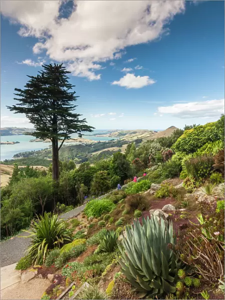 New Zealand, South Island, Otago, Otago Peninsula, Dunedin-area, Larnach Castle Gardens