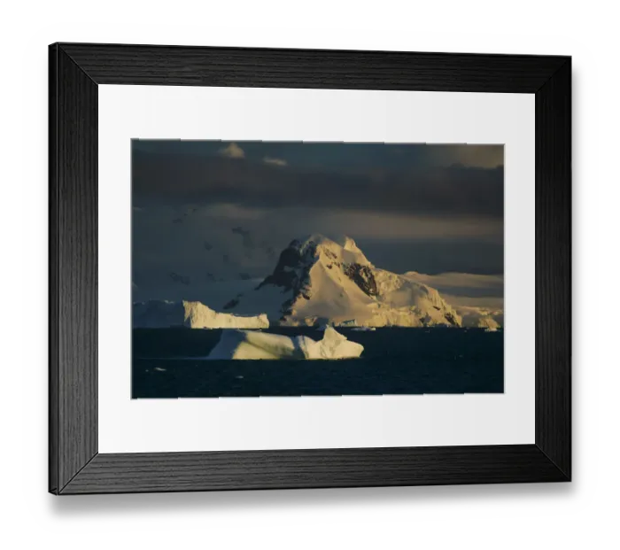 Framed Print : Icebergs, Antarctica