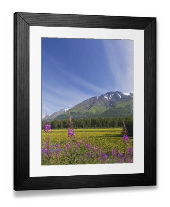 Framed Print : USA, Alaska, Kenai Peninsula. Mountain and lake landscape
