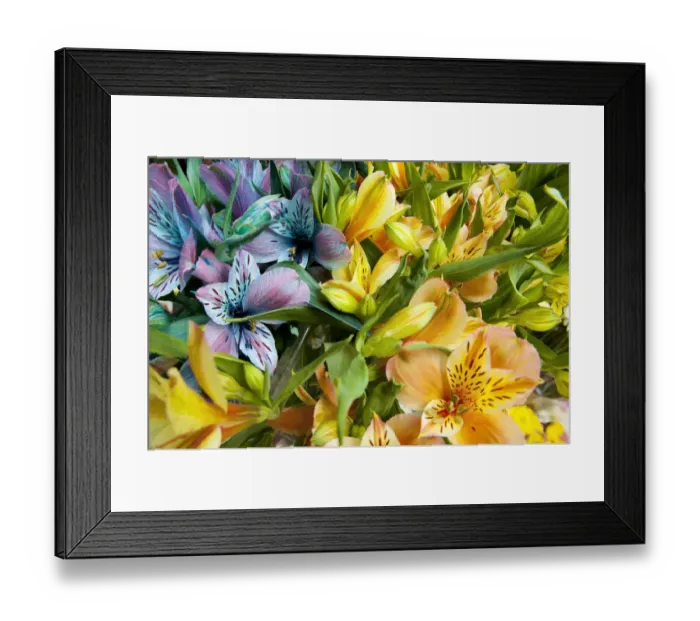 Framed Print : Argentina, Buenos Aires, Flowers of a Street Vendor Framed Print : Argentina, Buenos Aires, Flowers of a Street Vendor