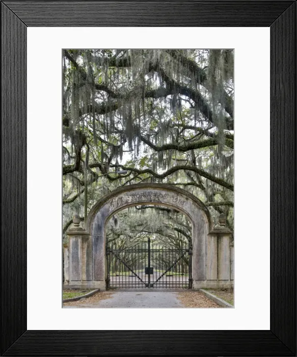 Framed Print : United States, Georgia, Savannah, Wormsloe, Gate at Entrance Framed Print : United States, Georgia, Savannah, Wormsloe, Gate at Entrance