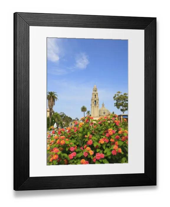 Framed Print : Balboa Park, San Diego, California, USA, Summer