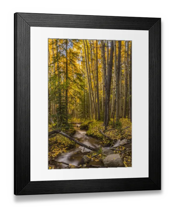 Framed Print : USA, Colorado, Rocky Mountain National Park. Waterfall in forest scenic. Credit as Framed Print : USA, Colorado, Rocky Mountain National Park. Waterfall in forest scenic. Credit as