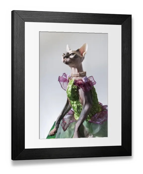 Framed Print : A hairless sphinx cat wearing pearls poses for a portrait (PR)