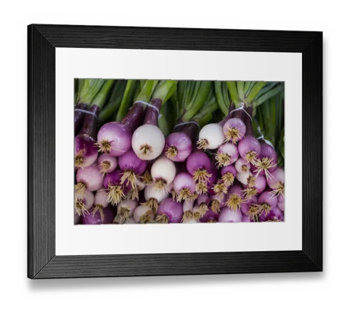 Framed Print : North America; USA; Georgia; Savannah; Fresh onions at Forsyth Market in downtown Framed Print : North America; USA; Georgia; Savannah; Fresh onions at Forsyth Market in downtown