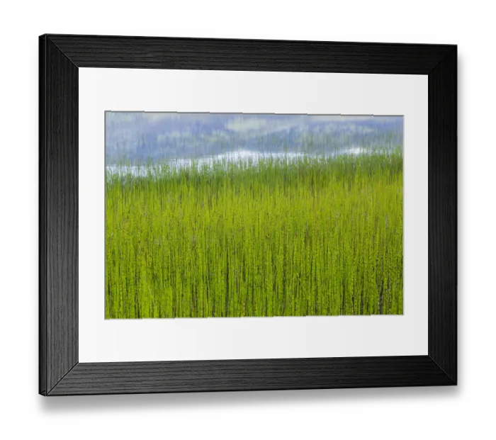 Framed Print : USA, Alaska. Reeds and Quartz Lake. Credit as: Don Paulson / Jaynes Gallery / DanitaDelimont Framed Print : USA, Alaska. Reeds and Quartz Lake. Credit as: Don Paulson / Jaynes Gallery / DanitaDelimont