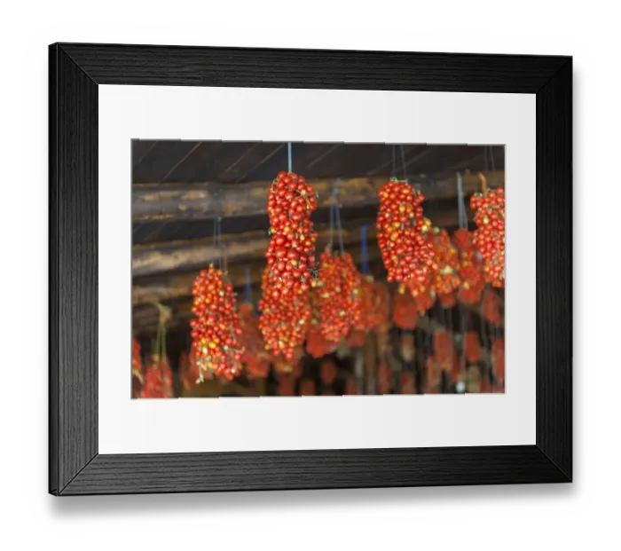 Framed Print : Hanging grape tomatoes, Tenuta Tannoja, Andria, Italy, Europe