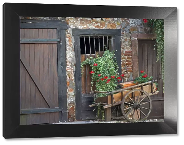 Europe; France; Alsace province; Colmar. Rustic wooden wagon in front of brick building