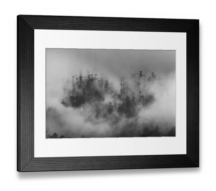 Framed Print : Misty forest, Paro Valley, Bhutan