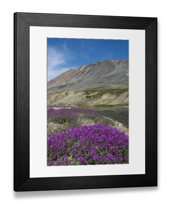 Framed Print : Russia, Russian Far East, Chukotka Autonomous Okrug aka Chukotka. Senyavina Strait Framed Print : Russia, Russian Far East, Chukotka Autonomous Okrug aka Chukotka. Senyavina Strait