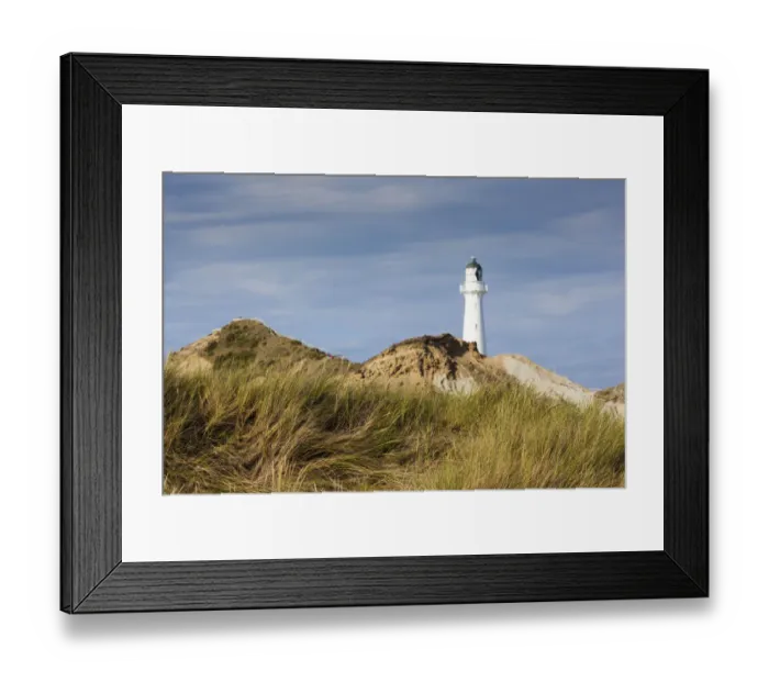 Framed Print : New Zealand, North Island, Castlepoint, Castlepoint Lighthouse Framed Print : New Zealand, North Island, Castlepoint, Castlepoint Lighthouse