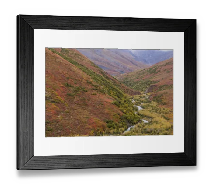 Framed Print : USA, Alaska, Brooks Range. Tundra in fall color Framed Print : USA, Alaska, Brooks Range. Tundra in fall color