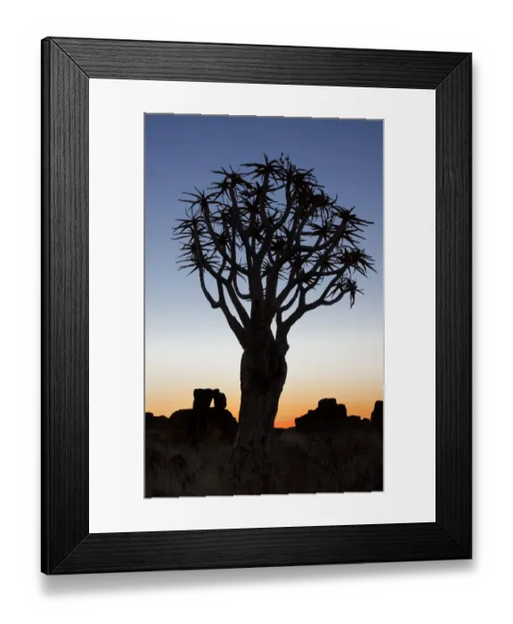 Framed Print : Africa, Namibia, Keetmanshoop, Quiver Tree Forest, (Aloe dichotoma), Kokerbooms Framed Print : Africa, Namibia, Keetmanshoop, Quiver Tree Forest, (Aloe dichotoma), Kokerbooms