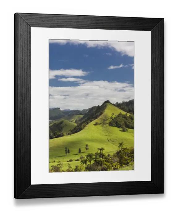 Framed Print : New Zealand, North Island, Coromandel Peninsula, Wharekawa, landscape Framed Print : New Zealand, North Island, Coromandel Peninsula, Wharekawa, landscape