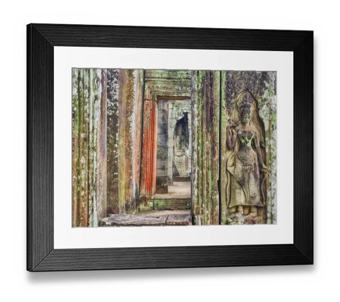 Framed Print : Olympus Digital Camera Framed Print : Olympus Digital Camera