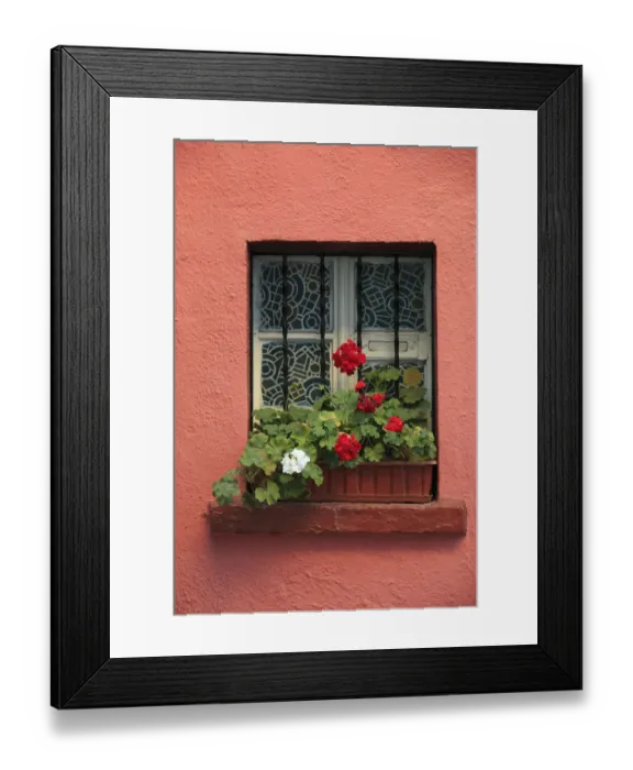 Framed Print : Europe, Romania, Sighisoara, residential window in old town. Flowers in window