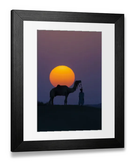 Framed Print : Camel and person at sunset, Thar Desert, Rajasthan, India Framed Print : Camel and person at sunset, Thar Desert, Rajasthan, India