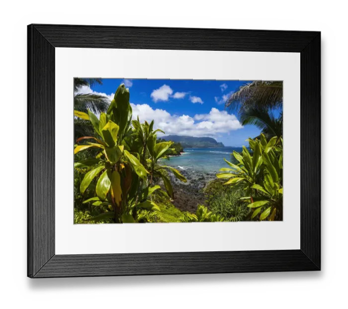 Framed Print : Hideaways Beach and the Na Pali Coast through tropical foliage, Island of Kauai Framed Print : Hideaways Beach and the Na Pali Coast through tropical foliage, Island of Kauai