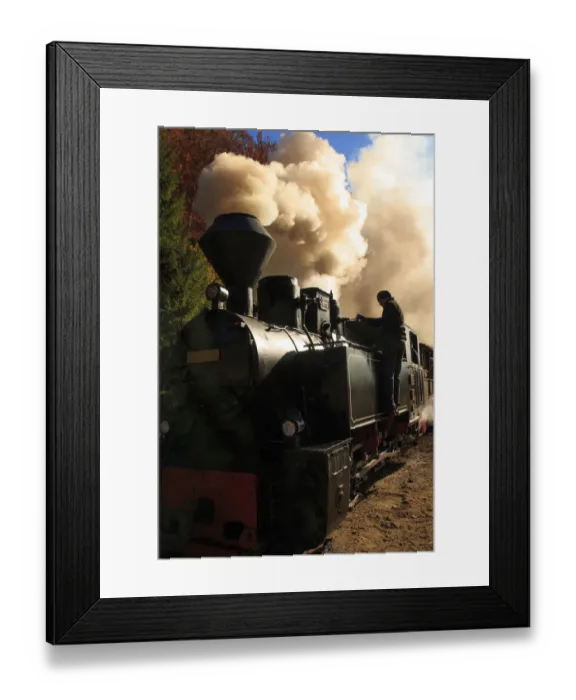 Framed Print : Europe, Romania, Viseu de Sus. Carpathian Forest Steam train. Vaser Valley Railway Framed Print : Europe, Romania, Viseu de Sus. Carpathian Forest Steam train. Vaser Valley Railway