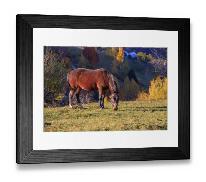 Framed Print : Europe, Romania, Transylvania, Carpathian Mountains, Magura, Piatra Craiului National Park