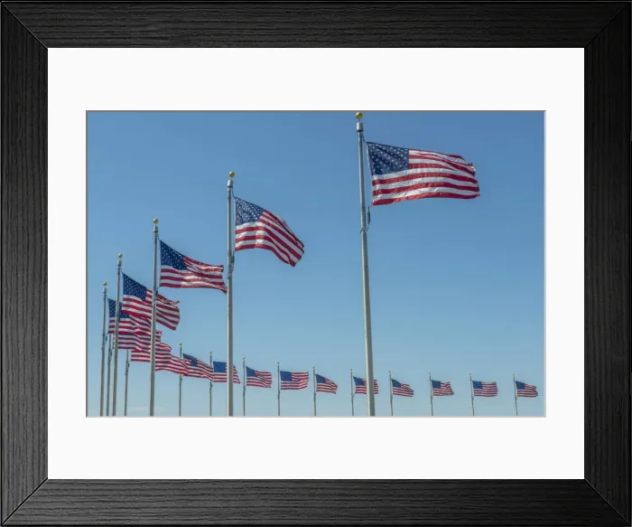 Framed Print : flags by Washington Monument, Washington, DC, USA Framed Print : flags by Washington Monument, Washington, DC, USA