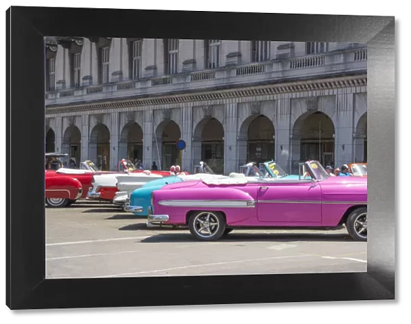 Havana Cuba Habana central colorful old classic 1950s cars on display near Capital