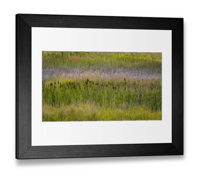 Framed Print : USA, Alaska, Anchorage. Scenic of Potter Marsh Framed Print : USA, Alaska, Anchorage. Scenic of Potter Marsh