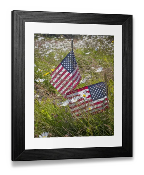 Framed Print : USA, Alaska, Ninilchik. US flags in American Legion Cemetery