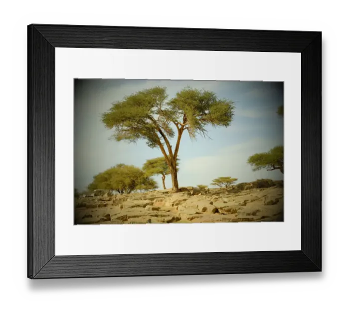Framed Print : North Africa, Morocco, Southern Morocco, landscape of M Hamid, of the Draa valley Framed Print : North Africa, Morocco, Southern Morocco, landscape of M Hamid, of the Draa valley