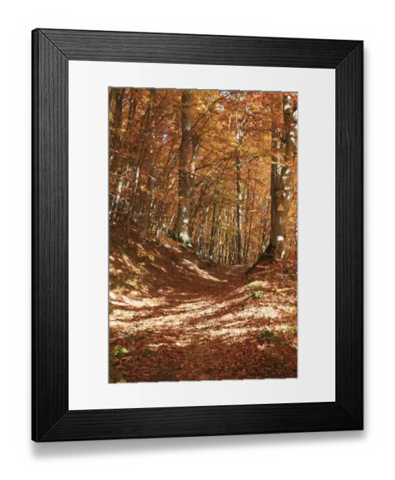 Framed Print : Europe, Romania, Transylvania. Carpathian Mountains fall (Autumn) colors. Brasov Framed Print : Europe, Romania, Transylvania. Carpathian Mountains fall (Autumn) colors. Brasov