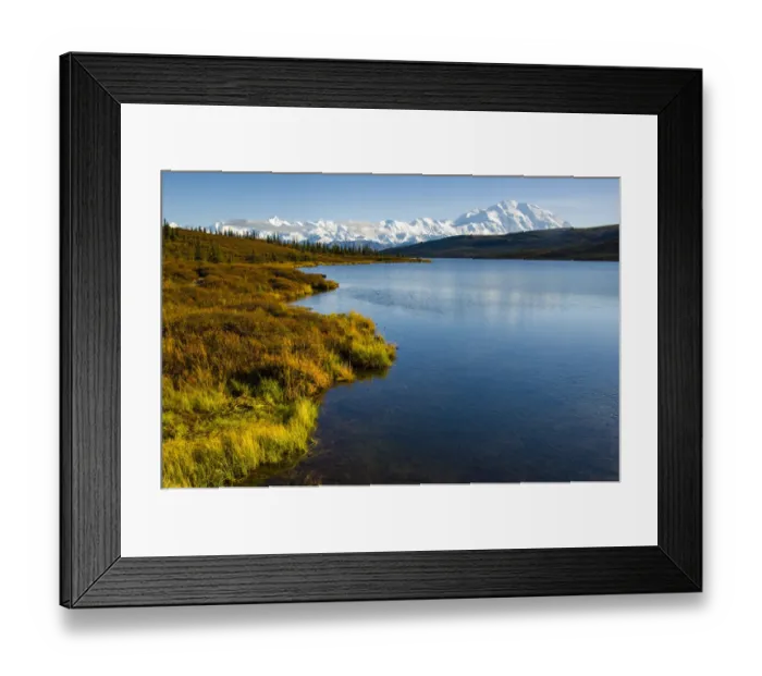 Framed Print : USA, Alaska, Denali National Park, fall colors, Denali Framed Print : USA, Alaska, Denali National Park, fall colors, Denali