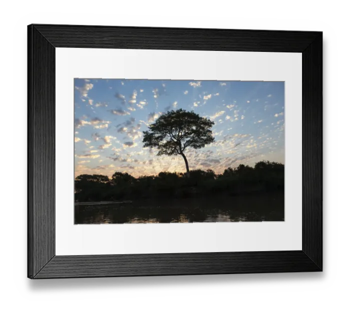 Framed Print : South America, Brazil, The Pantanal, Rio Negro
