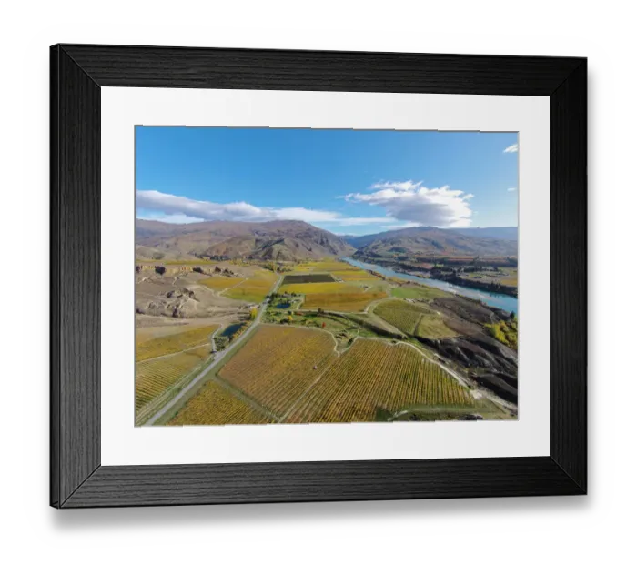 Framed Print : Vineyards, Felton Road, Bannockburn, and Kawarau Arm, Lake Dunstan, near Cromwell