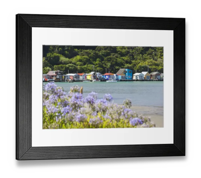 Framed Print : New Zealand, North Island, Paremata, houses along Porirua Harbour