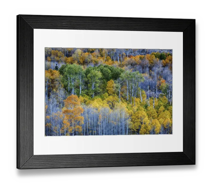 Framed Print : Conway Pass; Lee Vining; Mono county; USA; California Framed Print : Conway Pass; Lee Vining; Mono county; USA; California