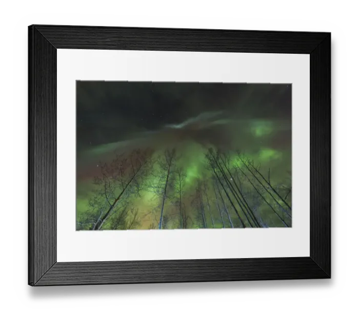 Framed Print : Aurora borealis, northern lights, near Fairbanks, Alaska Framed Print : Aurora borealis, northern lights, near Fairbanks, Alaska
