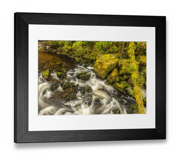 Framed Print : USA, Alaska, Tongass National Forest. Anan Creek scenic Framed Print : USA, Alaska, Tongass National Forest. Anan Creek scenic