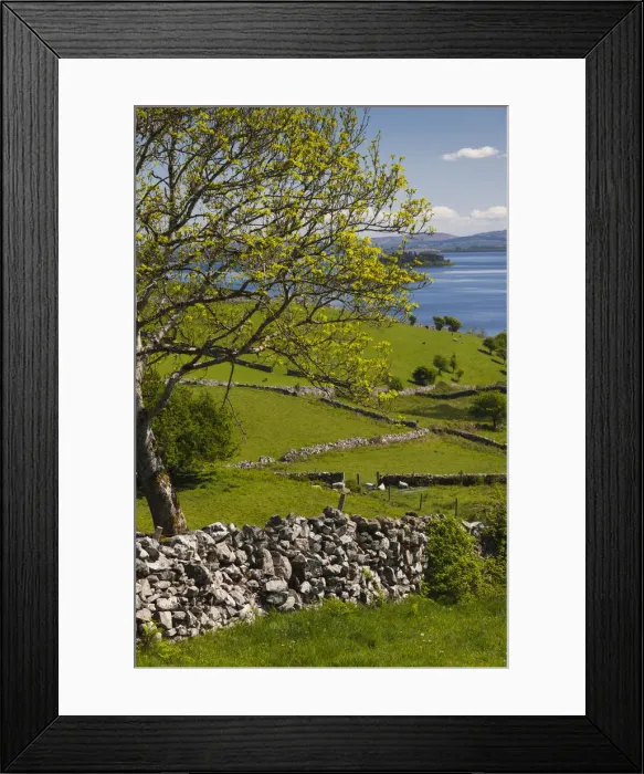 Framed Print : Ireland, County Galway, Cong, elevated springtime landscape Framed Print : Ireland, County Galway, Cong, elevated springtime landscape