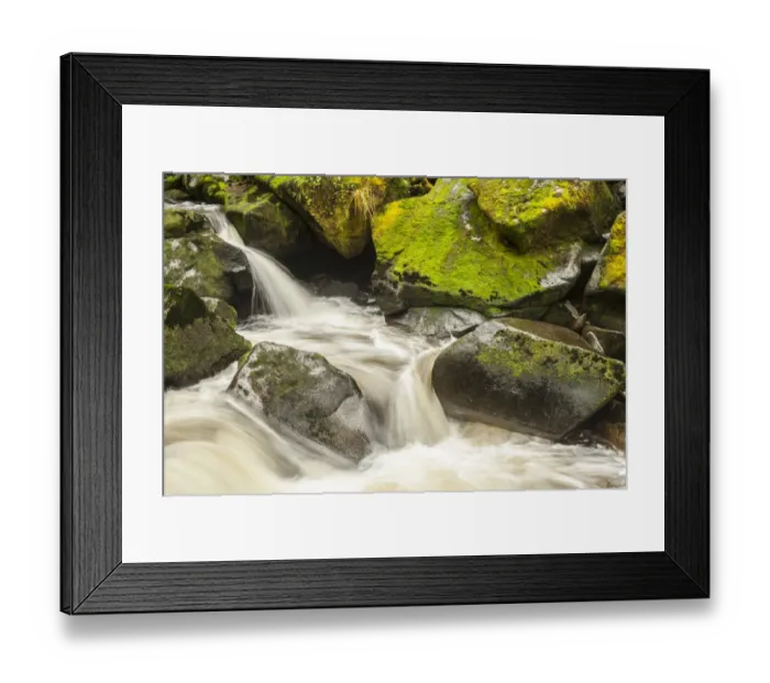 Framed Print : USA, Alaska, Tongass National Forest. Anan Creek scenic Framed Print : USA, Alaska, Tongass National Forest. Anan Creek scenic