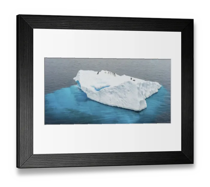 Framed Print : Antarctica, Gentoo, pengiuns, iceberg