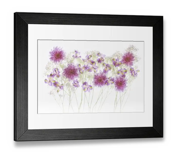 Framed Print : United States, Florida, Celebration, Floral Bounty Framed Print : United States, Florida, Celebration, Floral Bounty