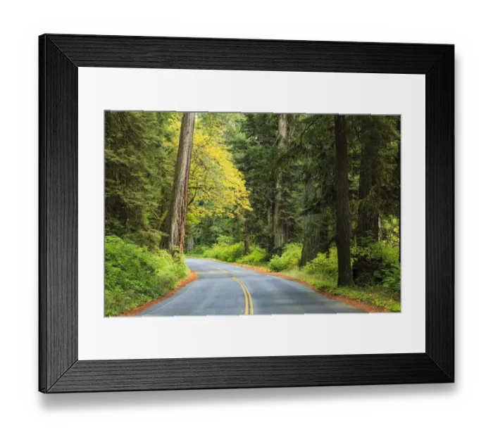 Framed Print : Prairie Creek area, Redwoods State Park, Coastal Redwoods, Northern California Coast, USA Framed Print : Prairie Creek area, Redwoods State Park, Coastal Redwoods, Northern California Coast, USA